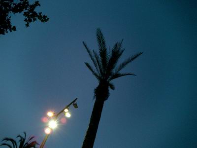 raval (ahir nit)