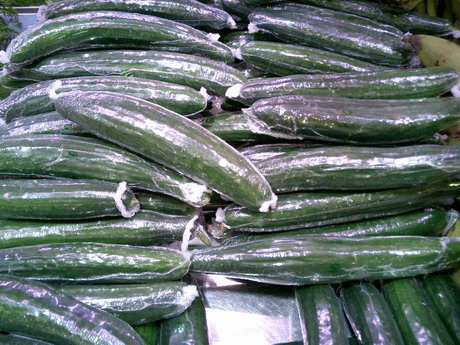 verdures extra terrestres