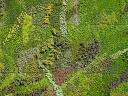 baldiri : garden wall : baldiri08022701.jpg