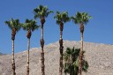 baldiri : palm springs : baldiri09072801