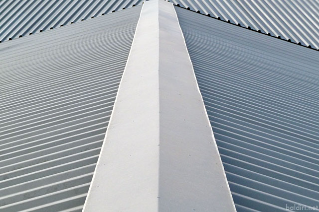 baldiri : roof lines