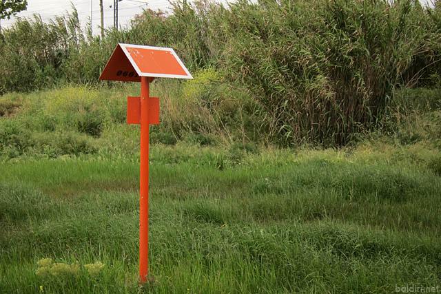 baldiri : unknown orange sign 