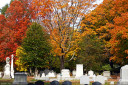 baldiri : mount auburn cemetery