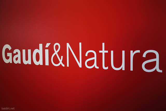 baldiri : gaudi & natura