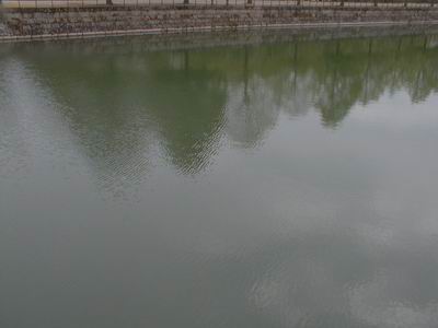 llac