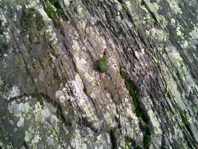 textures pirenaiques