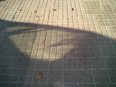 altres ombres de tardor