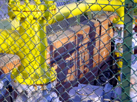 BALD04012701.jpg