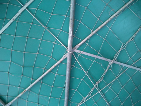 BALD04060402.jpg