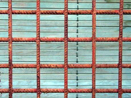 BALD04062203.jpg