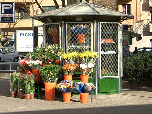flors