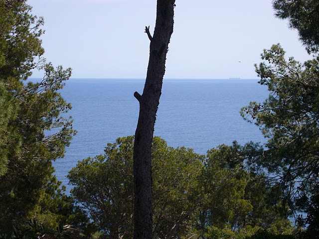 baldiri : cap roig : baldiri08042501.jpg