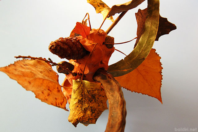 baldiri : arbre de tardor : baldiri101206