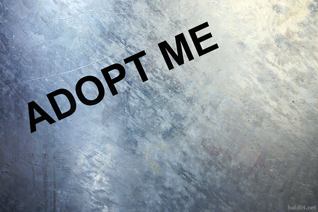 baldiri : adopt me